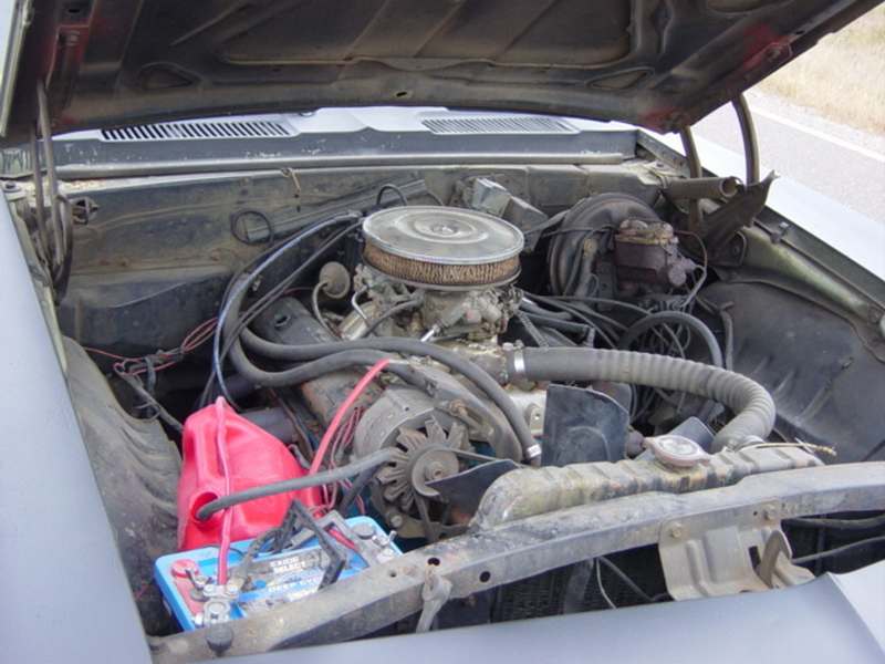 file6.jpg